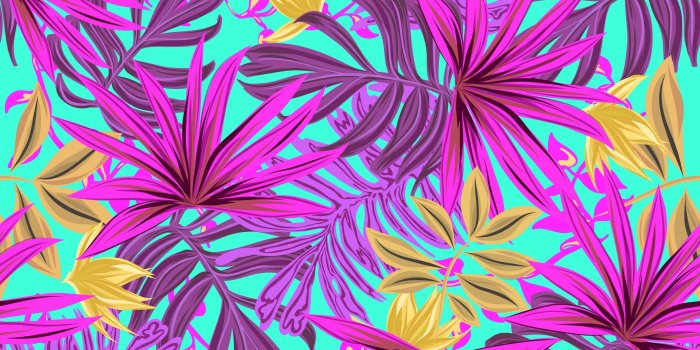 2560x1440 Wallpaper Leaves, Art, Bright, Tropical - Tropical Leaves Wallpaper