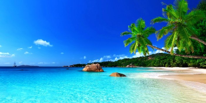 1366x768 Download laptop Tropical PC wallpaper ID:319897 for free