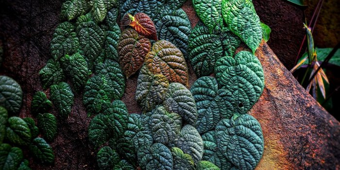 1366x768 Download wallpaper 1366x768 leaves, plant, tropical, patterned