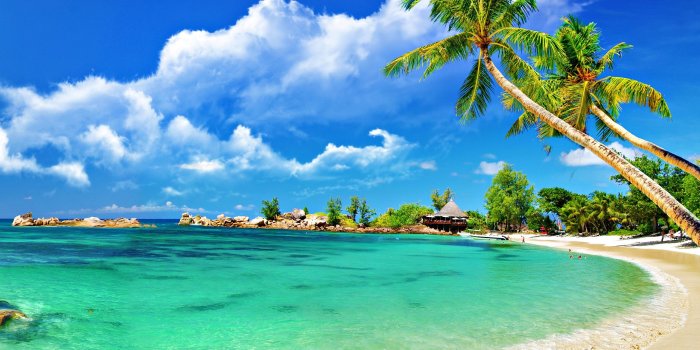 2560x1600 Beautiful Tropical Beach Wallpaper #7039061