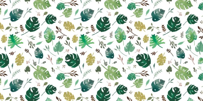 1856x1161 Tropical Leaves Wallpaper Hd 19+ - hdwallpaper20.com