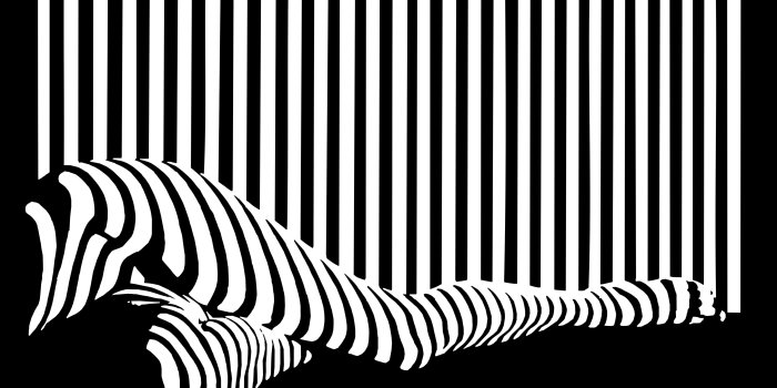 3840x2160 Black and white stripes on legs wallpaper - Vector wallpapers - #27985