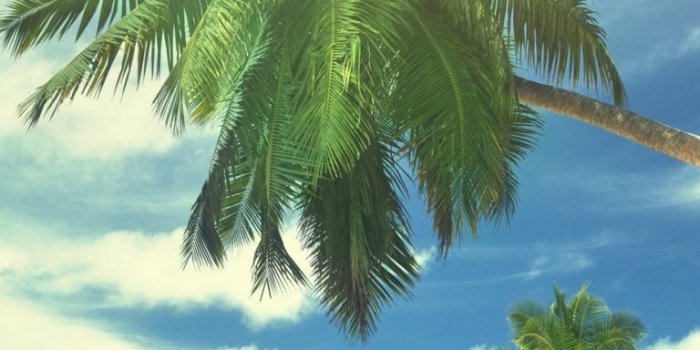 768x1280 Beach Tropical Nautical Ocean Paper Wallpaper | Beautiful