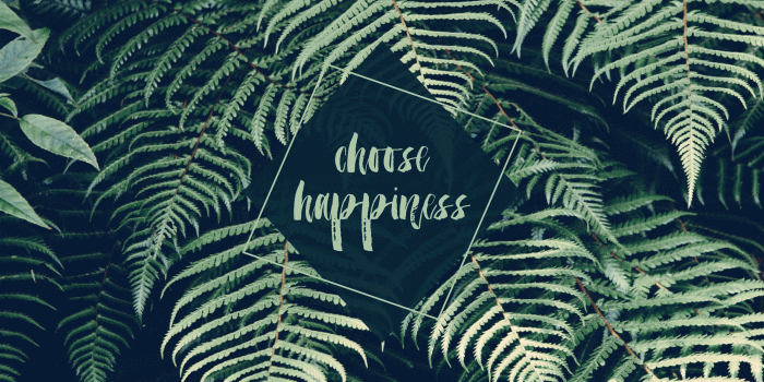 2560x1600 Tropical Landscape Wallpaper for Computer | Gardening: Flower and