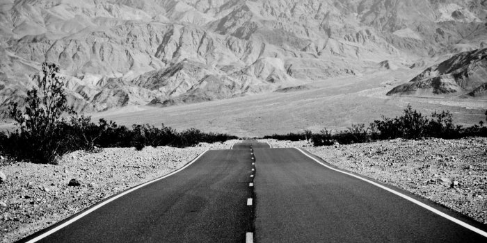 1920x1080 Black And White Nature Wallpaper on MarkInternational.info