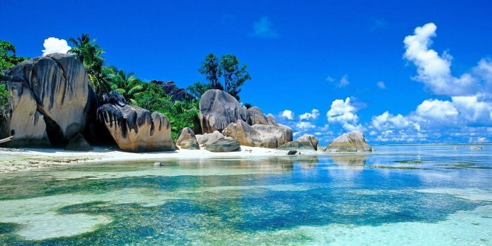 1920x1080 Tropical wallpaper ·① Download free full HD backgrounds for desktop