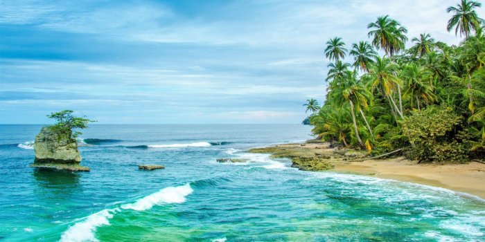 1366x768 Download 1366x768 Wallpaper Tropical Beach, Trees, Beach, Nature