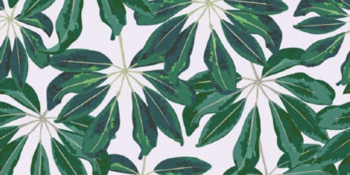 1086x725 Tropical Palm Leaves Wallpaper 9+ - hdwallpaper20.com