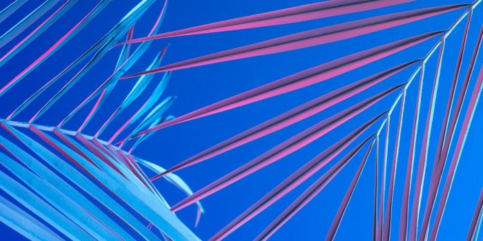 1920x1080 Wallpaper : Free Wallpapers Creatives Learn Red And Blue Sky Dark