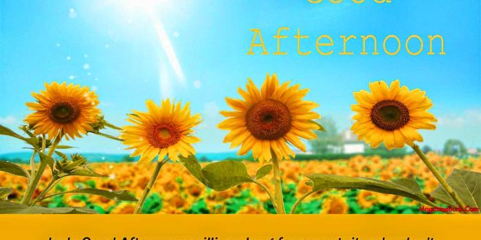 1366x1000 123+ Good Afternoon Images Pictures For Whatsapp