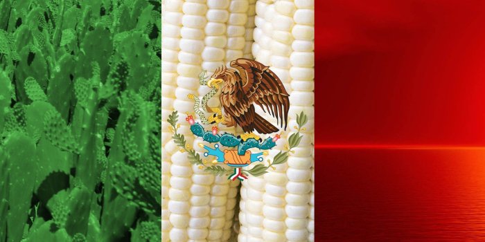 2196x1588 Mexican Flag Wallpaper iPhone 6 (61+ images)