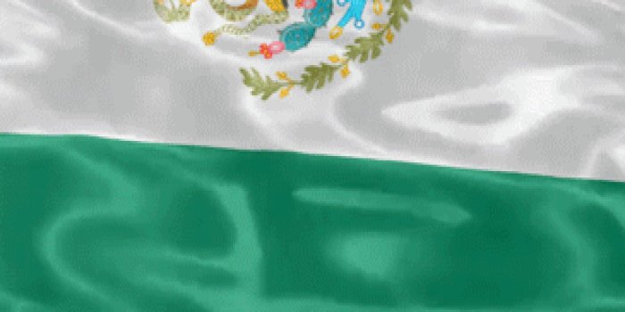 1440x2560 Mexican Flag Live Wallpaper for Android - APK Download