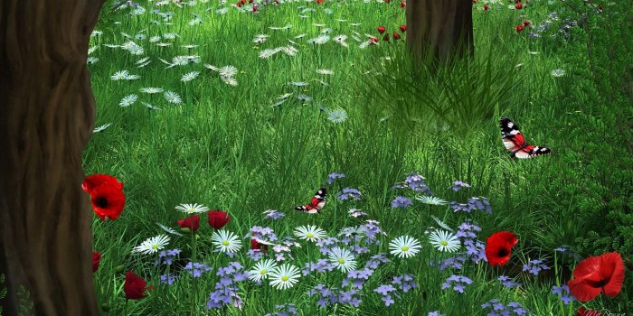 1920x1080 Fields wallpapers: Summer Field Hills Amazing Meadow Poppies Slope