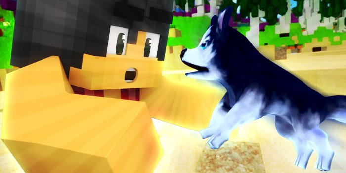 1920x1080 Beach Puppy | Aphmau Wiki | FANDOM powered by Wikia