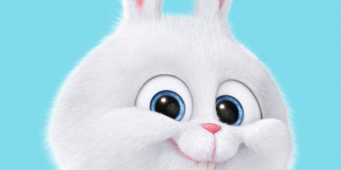 1080x1920 Cute Rabbit Is Just My Cover #iPhone #6 #plus #wallpaper | iPhone 6