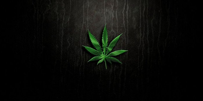 1209x756 Marijuana Leaf Wallpapers HD