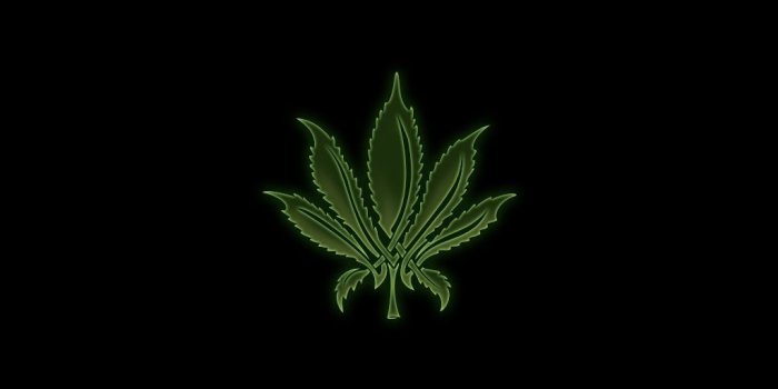 1024x768 1024x768 - Marijuana Leaf Pics