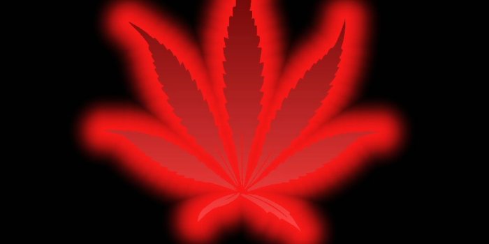 1024x768 red pot leaf wallpaper - Marijuana Wallpaper (235749) - Fanpop