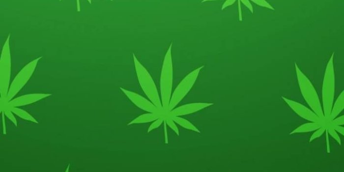 720x1280 Marijuana Leaf Wallpaper by P3TR1T - 72 - Free on ZEDGE™
