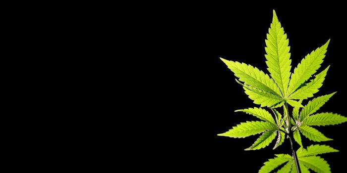 1680x1050 Marijuana Wallpaper Hd (46+ images) on Genchi.info