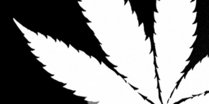 1600x1200 Big FN Cannabis Leaf in Black and White