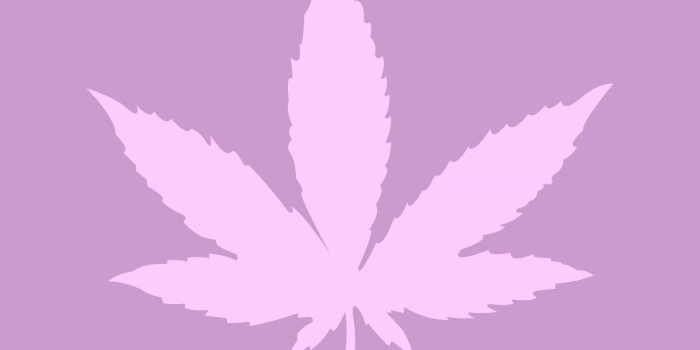 1024x768 Pink marijuana leaf – Images of Pink Marijuana Leaf Wallpaper - Pink