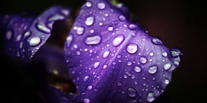 1024x768 50+] Coolest HD Wallpapers Ever on WallpaperSafari