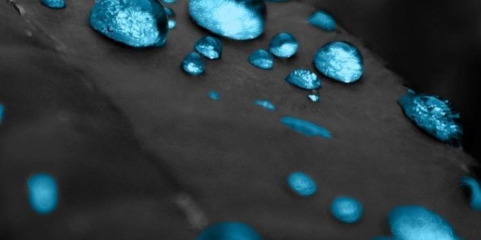 750x1334 Backgrounds HD Best Iphone