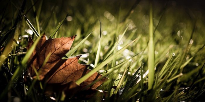 1600x900 Coolest Hd Wallpapers Desktop Background