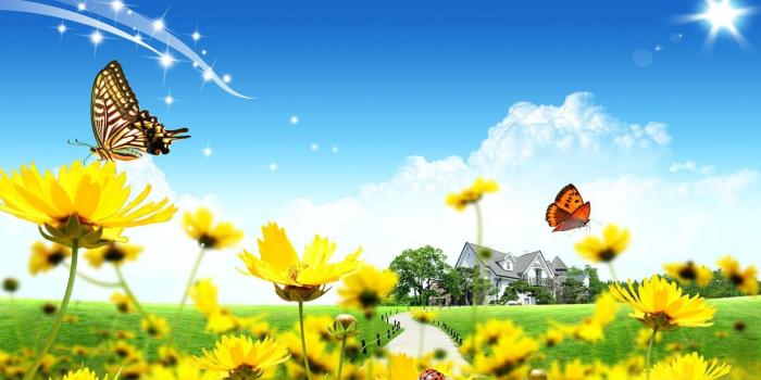 1920x1080 Butterfly Garden Wallpapers - Top Free Butterfly Garden Backgrounds