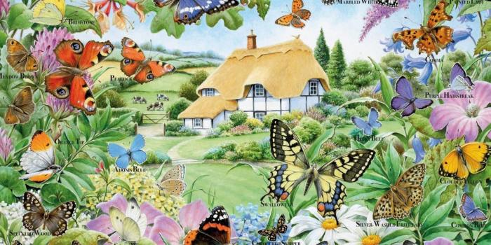 1600x1200 Butterfly Garden Wallpapers - Top Free Butterfly Garden Backgrounds