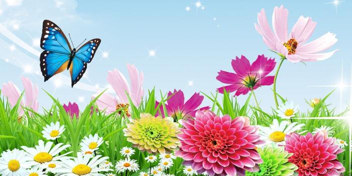 1920x1080 Butterfly Garden Wallpapers - Top Free Butterfly Garden Backgrounds