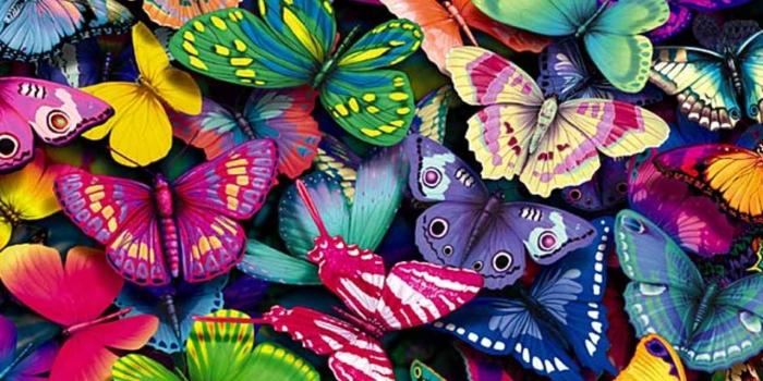 1280x960 Butterfly Garden Wallpapers - Top Free Butterfly Garden Backgrounds