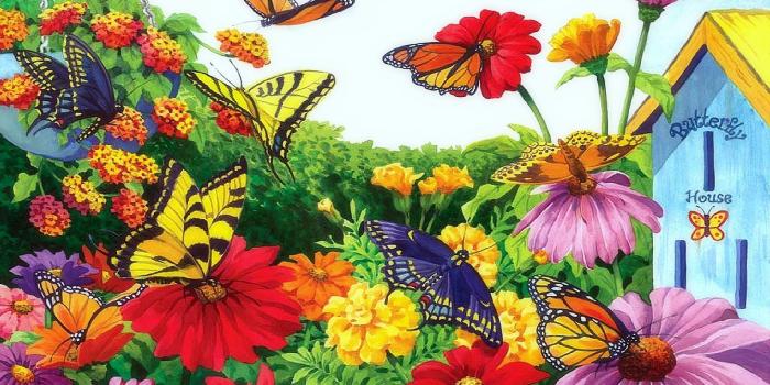 1920x1280 Butterfly Garden Wallpapers - Top Free Butterfly Garden Backgrounds