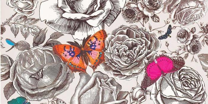 1000x1000 Butterfly Garden by Osborne & Little - Original Multi - W6592/01 in