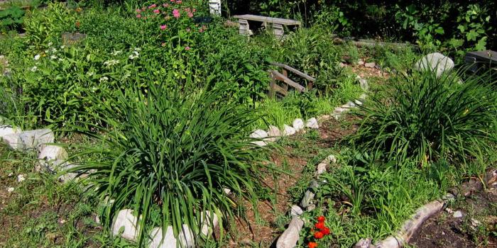 2000x1500 Butterfly Garden HD Wallpaper | Background Image | 2000x1500 | ID