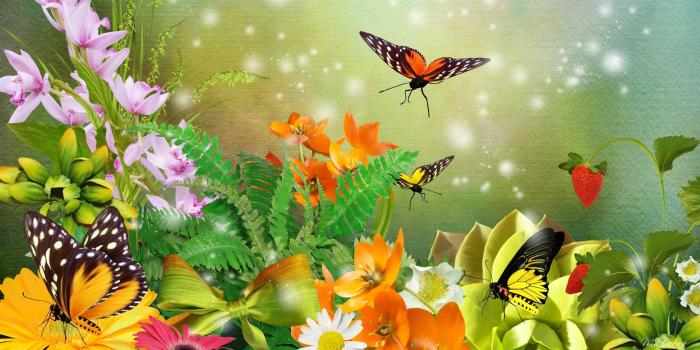 3840x2160 HD wallpaper: butterfly, garden, flowers, orange flower | Wallpaper