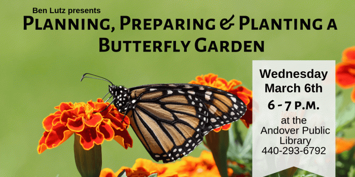 1920x1080 Planning, Preparing & Planting a Butterfly Garden – Andover Public