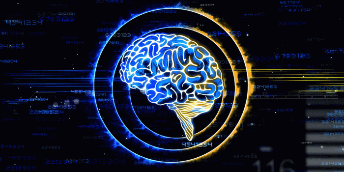 1920x1080 Animation design of human brain receiving input from both logical and  creativity imagination knowledge and thinking knowledge in math science  number