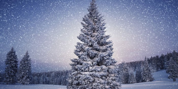 2560x1600 25 Winter Wallpapers for Desktop