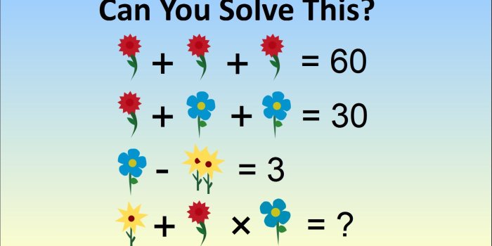 1920x1080 Can You Solve This Flower Math Problem? | The Science Explorer