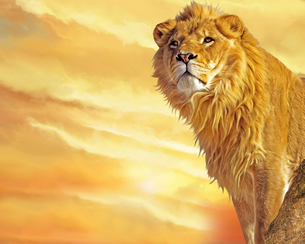1280x1024 photo: lion king wallpapers