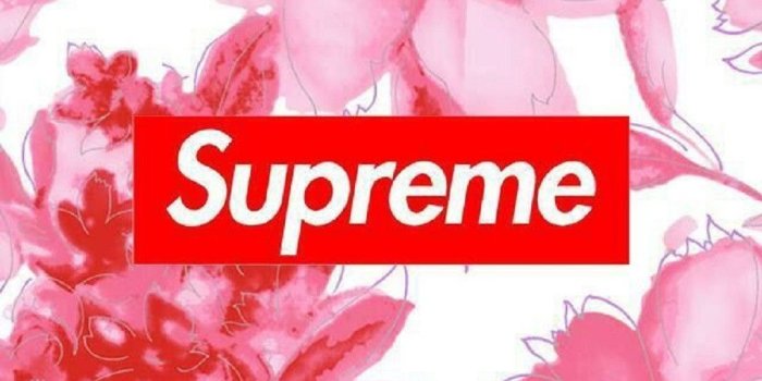 1080x1920 Pink Flower Apple iPhone 7 Plus hd wallpapers available for free