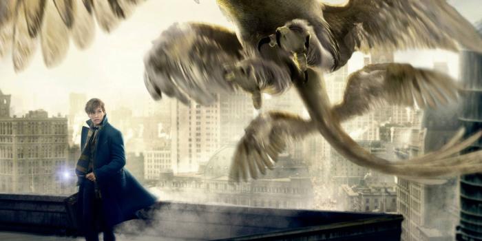 3087x2485 Wallpaper Thunderbird, Fantastic Beasts and Where to Find Them, HD