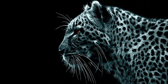 1920x1200 Download desktop wallpaper A wild beast