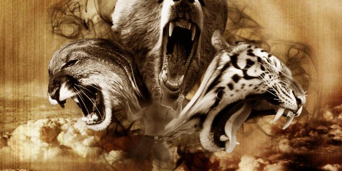 1936x1855 Beasts Wallpapers