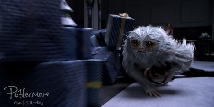 2289x1200 Fantastic Beasts and Where to Find Them HD Wallpaper | Background