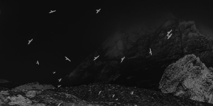 2732x2732 Wallpaper Weekends: Back in Black - Black iPad Wallpapers