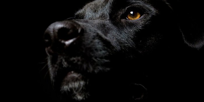 2048x2048 30 HD Black iPad Wallpapers