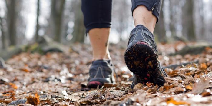 1332x850 Wallpaper Autumn, training, running shoes, running, outdoor walking